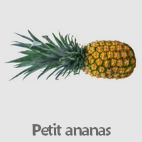 Vingt Huitieme Semaine De Grossesse